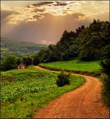 path1
