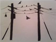wires