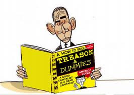 obamatreasonfordummies