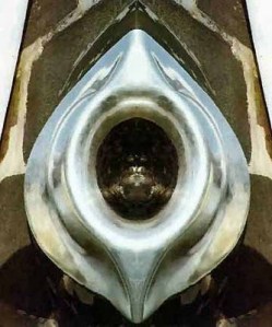 black-stone-sacred-yoni-at-mecca1