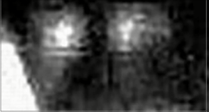 the lizards inside the UFO