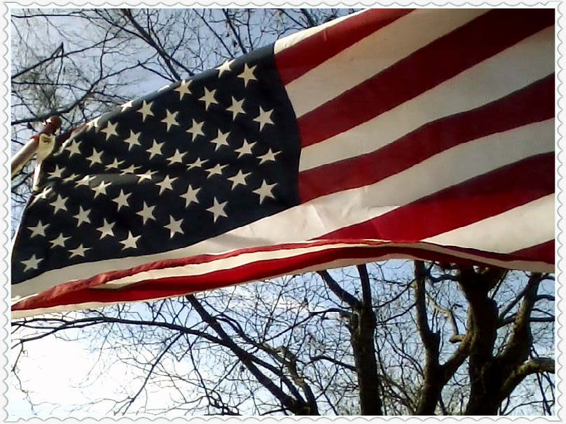 sunny stars and strips