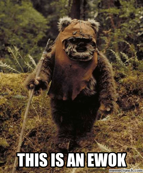 this is an ewok.png